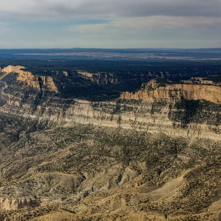 Black Mesa EcoFlight SQUARE