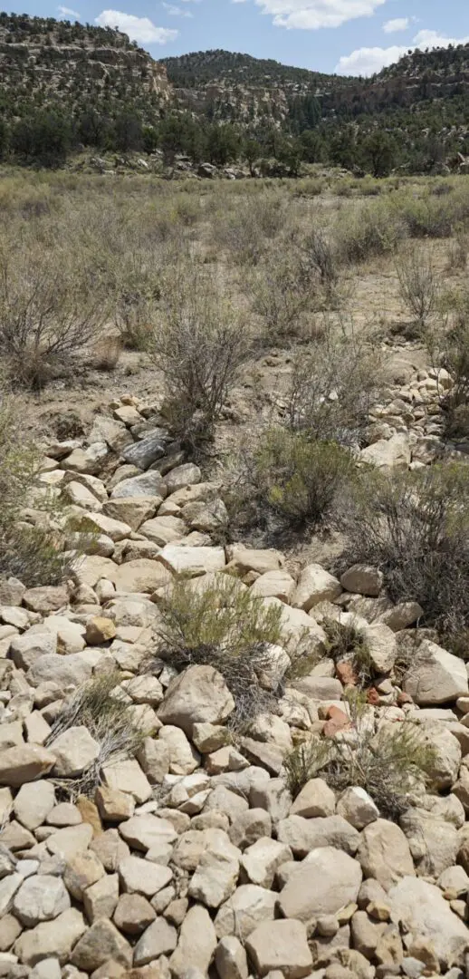 TAD Watershed_Structures