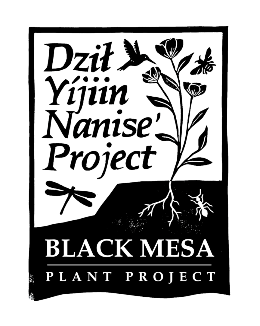 DYN_Rec Print Logo_BLK