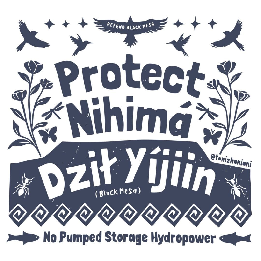 NoPSH_Logo