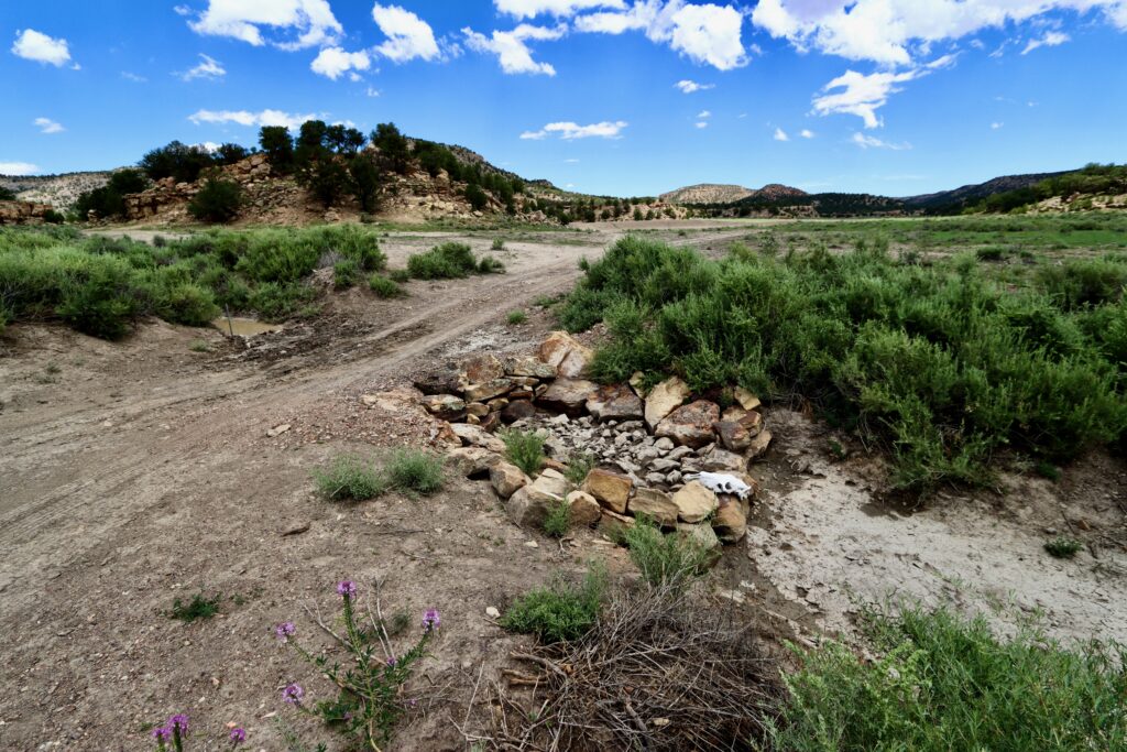 Navajo Bowl in Homestead Wash