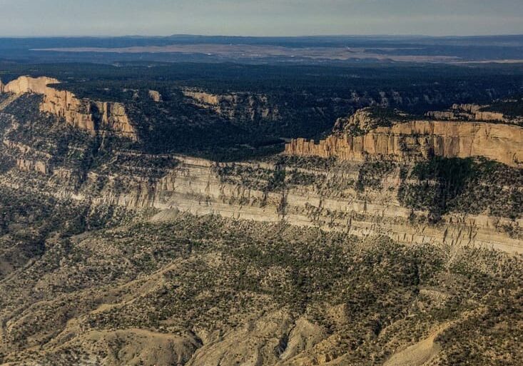 Black Mesa EcoFlight SQUARE