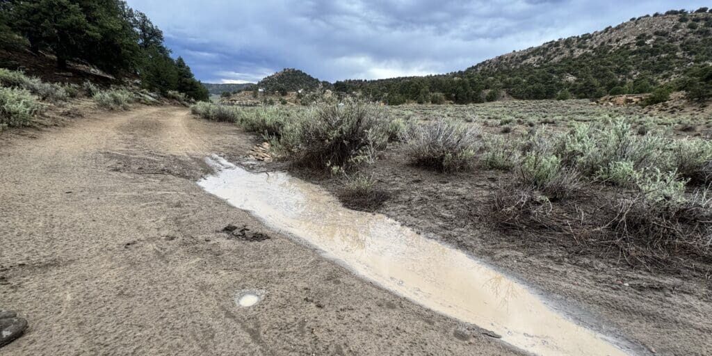 Cover Photo_First Storm Blog_Watershed