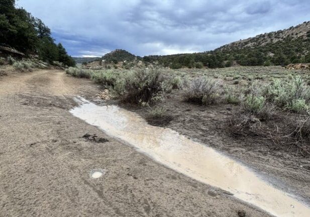 Cover Photo_First Storm Blog_Watershed