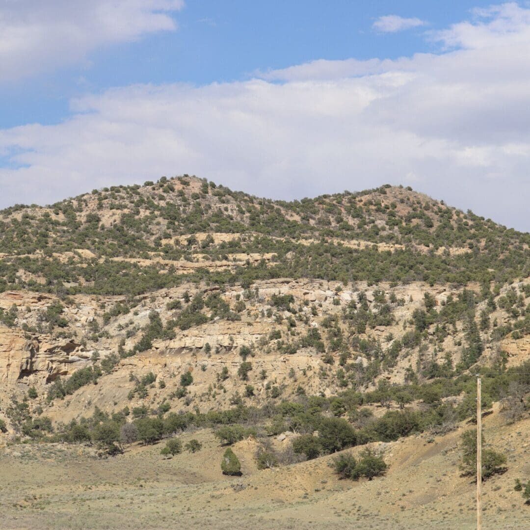 TAD Watershed - Upper Level