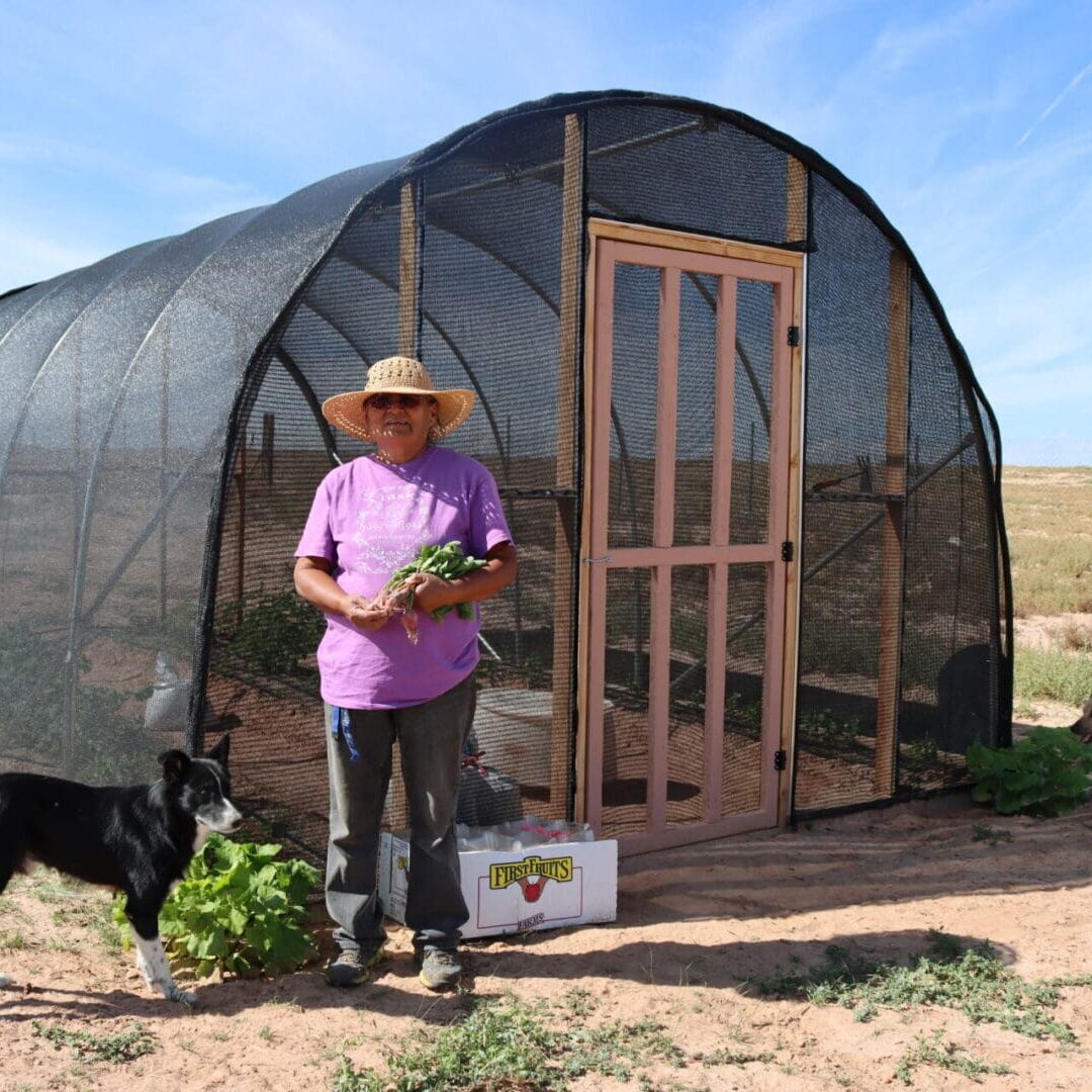 HoopHouse_FoodSov