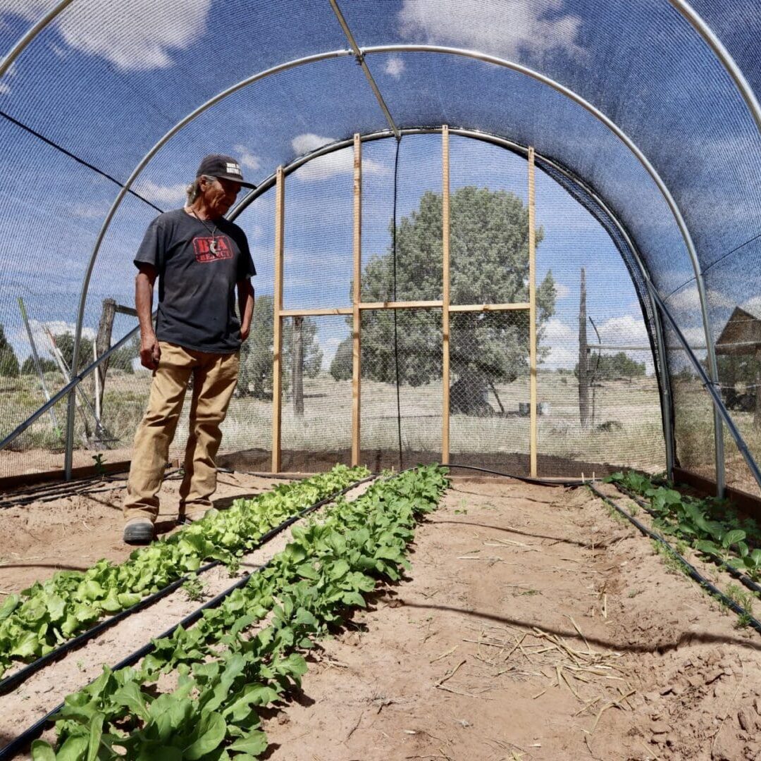 AndyDan_HoopHouse_FoodSov