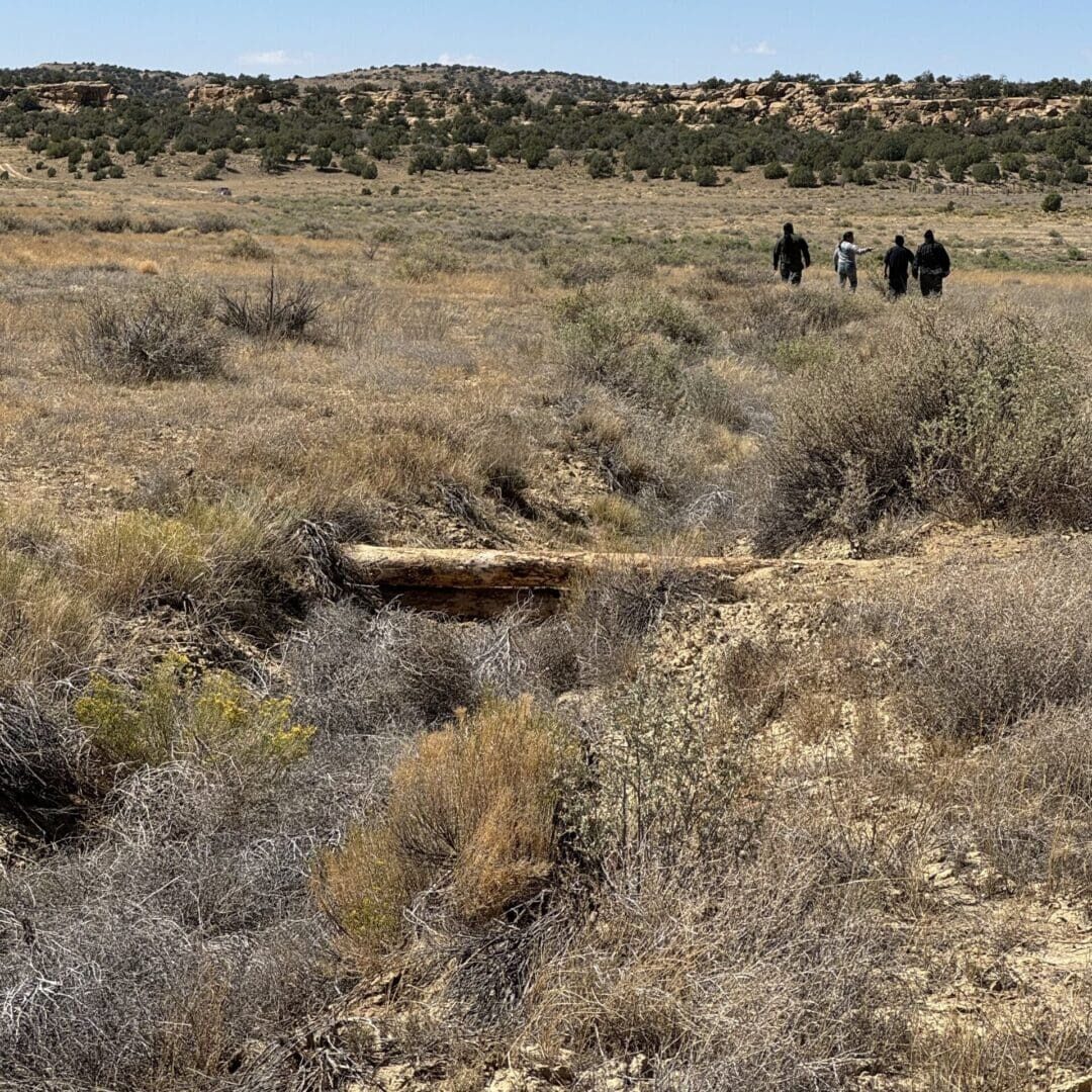 Log Sill Structure