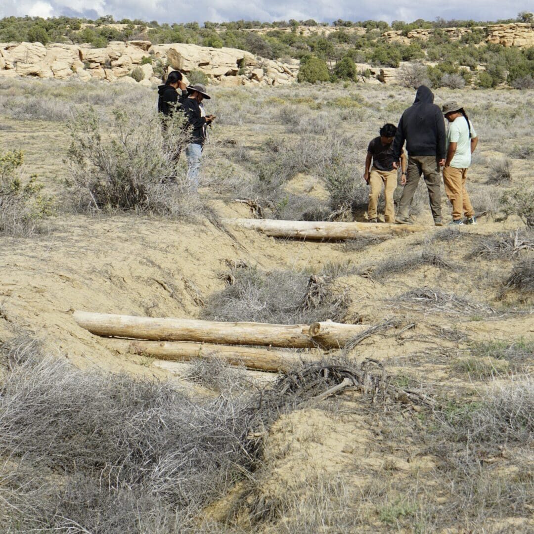 Log Sill Strutures Log Sill Strutures