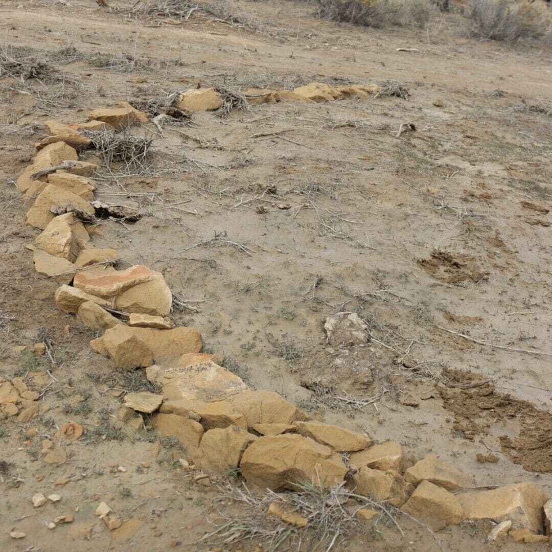 Media Lunas Media Lunas