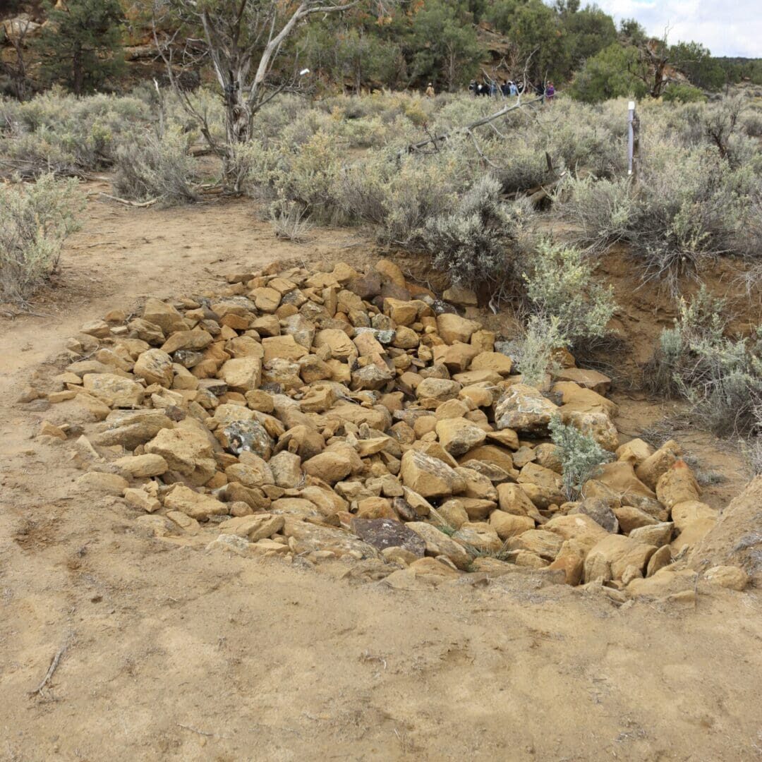 Navajo Bowl Navajo Bowl