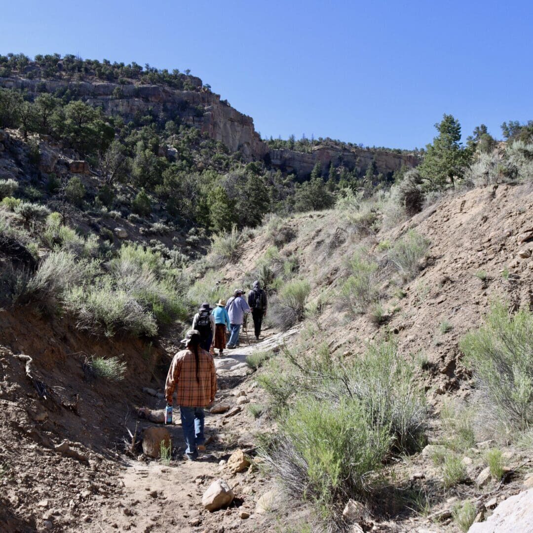 Our Project_TAD_Watershed