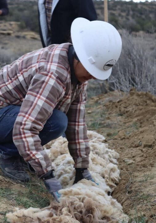 Our Projects_Wool_Watershed