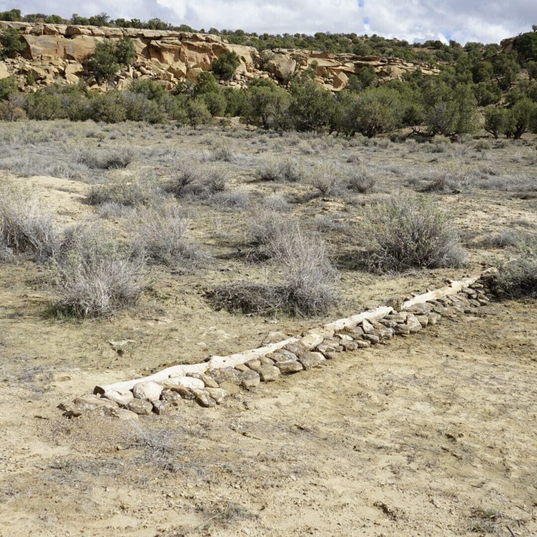 Plug & Spread Plug & Spread