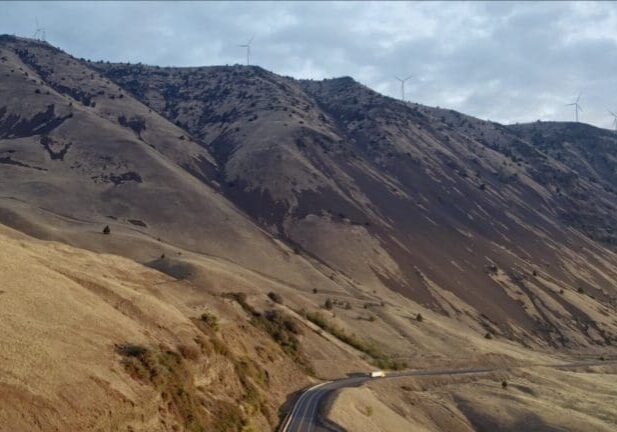 Pushpum_Christopher Ward