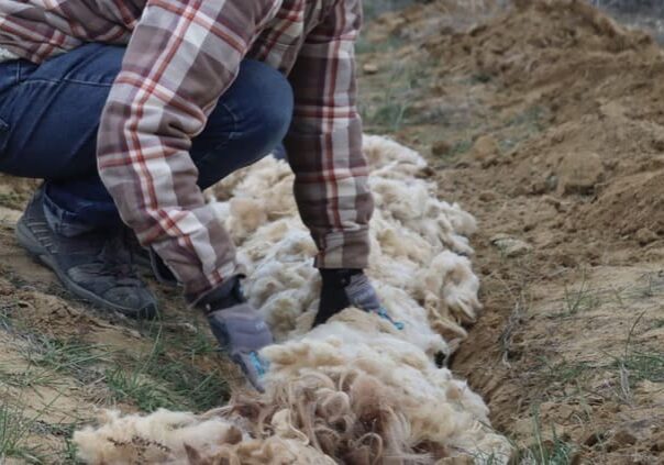 Wool Watershed_Install_2